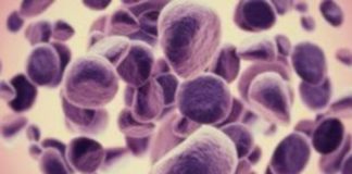 Εξατομικευμένη Ογκολογική Θεραπεία: “Tissue is the Issue”